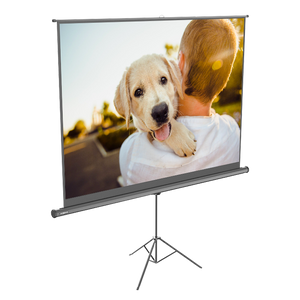 XGIMI 100 inches 16:10 Projector Screen with Stand
